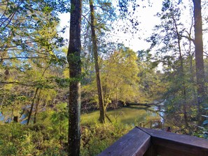 A forested area with a calm body of water, surrounded by trees and a wooden bench. - Little River Bluffs (Folsom)