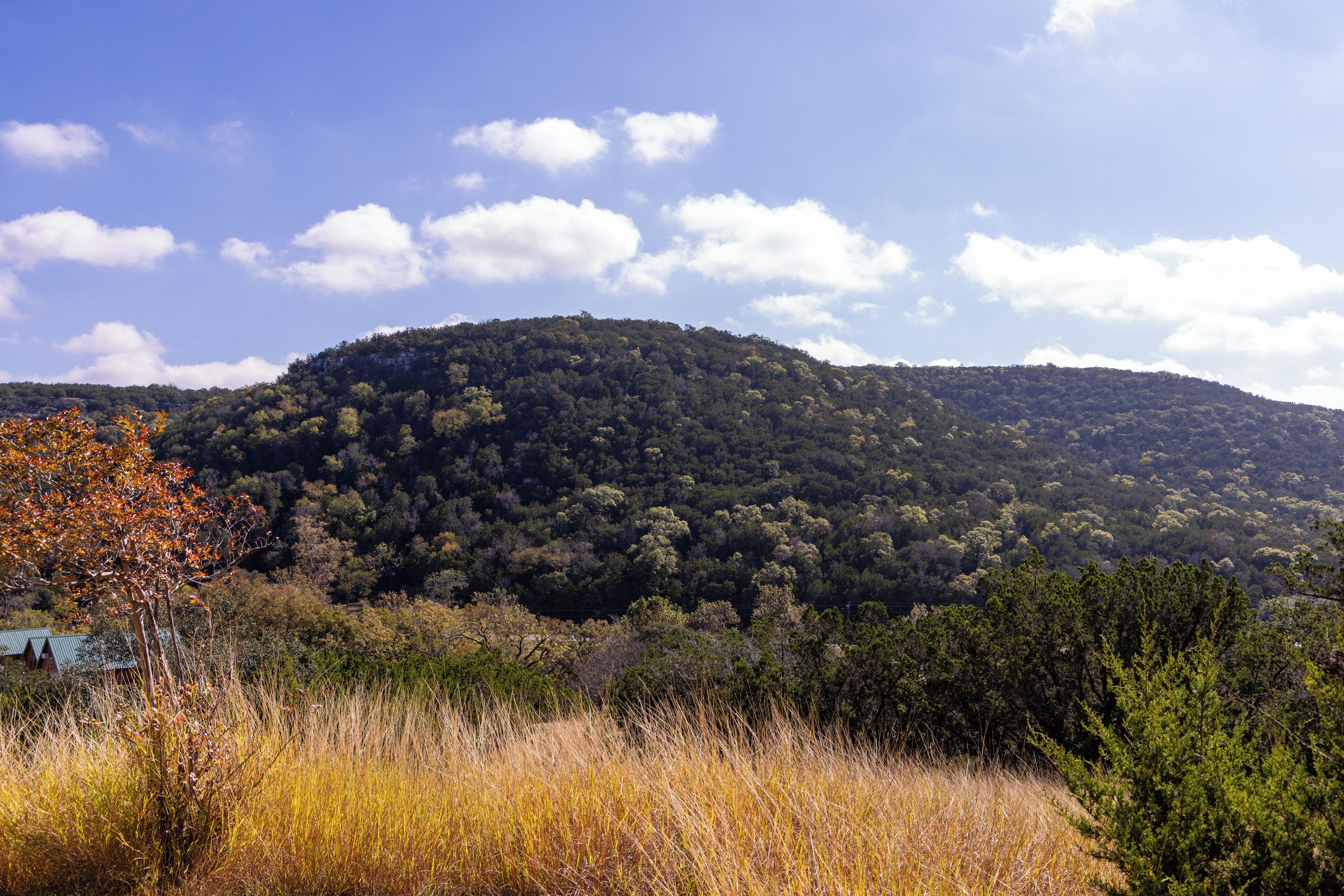 Un paisaje montañoso con un bosque frondoso y un cielo despejado.
