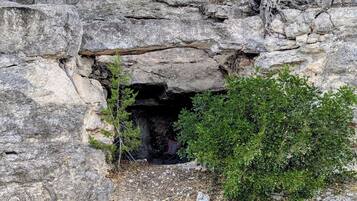 A rocky cave entrance surrounded by trees and shrubs.