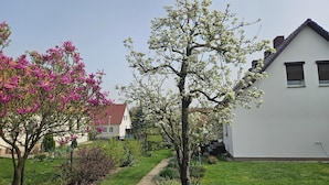 Un barrio residencial con una casa blanca, un jardín con un sendero y árboles en flor.