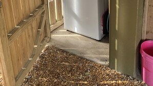 Un cuarto de lavandería con lavadora y secadora blancos, paredes de madera y suelo de concreto.