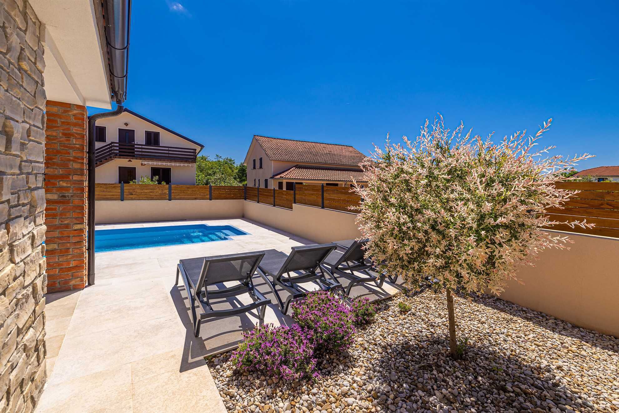 A backyard with a swimming pool, lounge chairs, and a small tree.