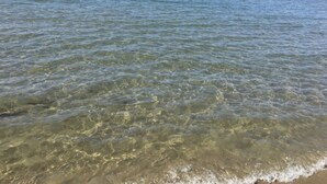 Ein freier Blick auf das Meer mit sanften Wellen und ruhigem Horizont.