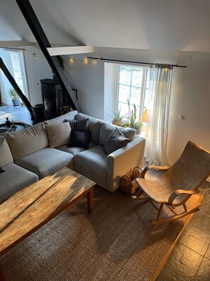 Televisor intel·ligent i llar de foc 