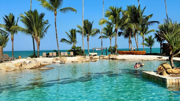 A clear blue pool surrounded by palm trees and a sandy beach.