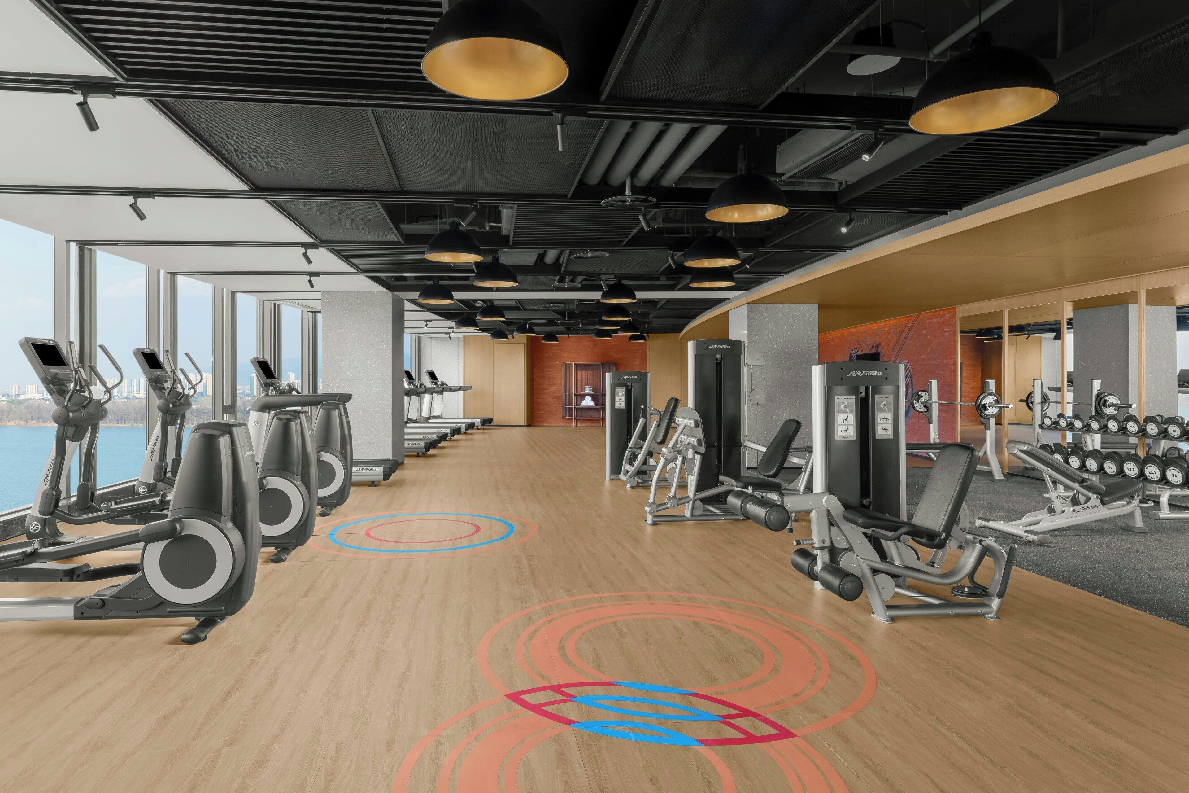 A gym with treadmills, weight machines, and a view of the water.