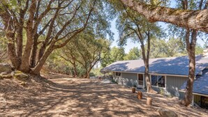 A house with a covered porch, surrounded by trees and a dirt path.