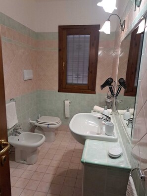 Shower, hair dryer, bidet, towels