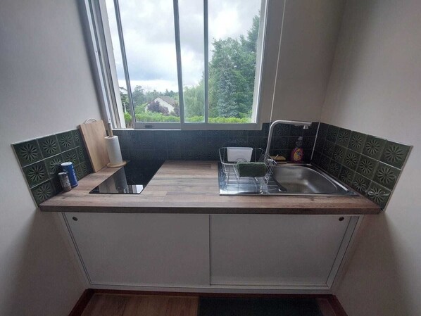 Fridge, microwave, oven, stovetop - Studio- Jungle Room (Avallon)