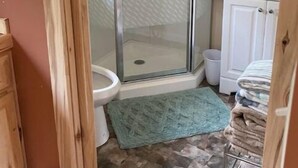 シャワー、ヘアドライヤー、タオル、トイレットペーパー