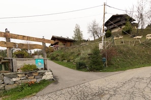 Terrain de l’hébergement 