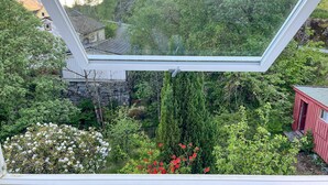 Une vue depuis une fenêtre donnant sur un jardin luxuriant, avec différentes espèces de plantes et un mur de pierre.