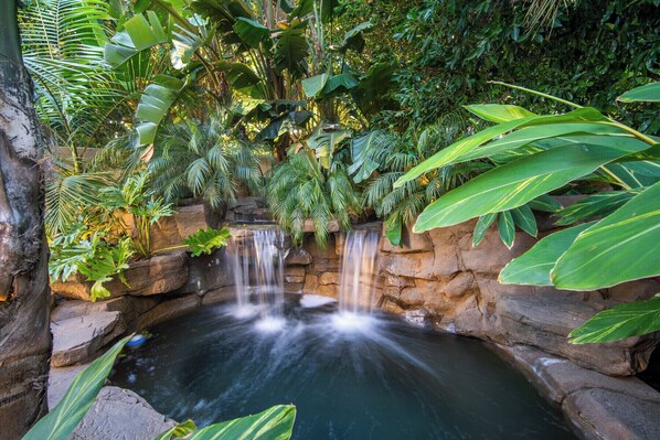 Property grounds - Charming 2-bedroom apartment with AC, WiFi in welcoming Dana Point (Dana Point)