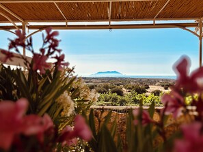 Terrace/patio - Alencio Panorama Residence (Favignana)
