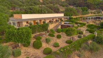 واجهة المنشأة