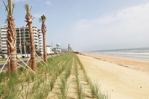 Tumbonas y toallas de playa