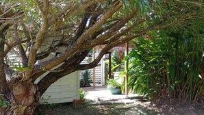 Un jardín con un árbol grande, un cobertizo y diversas plantas.
