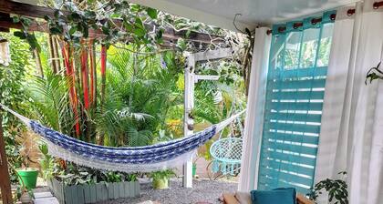 Les Bromélias chez Djo et Rosy