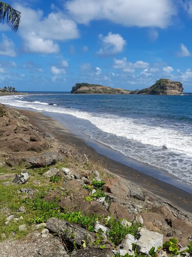 Les Bromélias chez Djo et Rosy