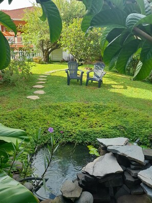 Property grounds - Bromeliads at Djo and Rosy's (Sainte-Marie)