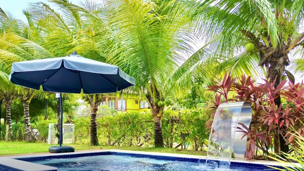 Una piscina con borde de azulejos azules, rodeada de exuberante vegetación y palmeras.