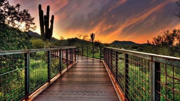 A wooden bridge with metal railings, leading to a cactus in a desert landscape with a sunset. - Charming 3-bedroom condo with fitness room and WiFi in Scottsdale (Scottsdale)