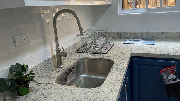 A kitchen with a stainless steel sink, a potted plant, a metal drying rack, and a window with a view of the outside.