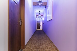 Interior - Large suite in the heart of downtown Montreal (Montréal)