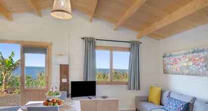 Holiday Home 'Dely' with Sea View, Private Pool and Private Terrace