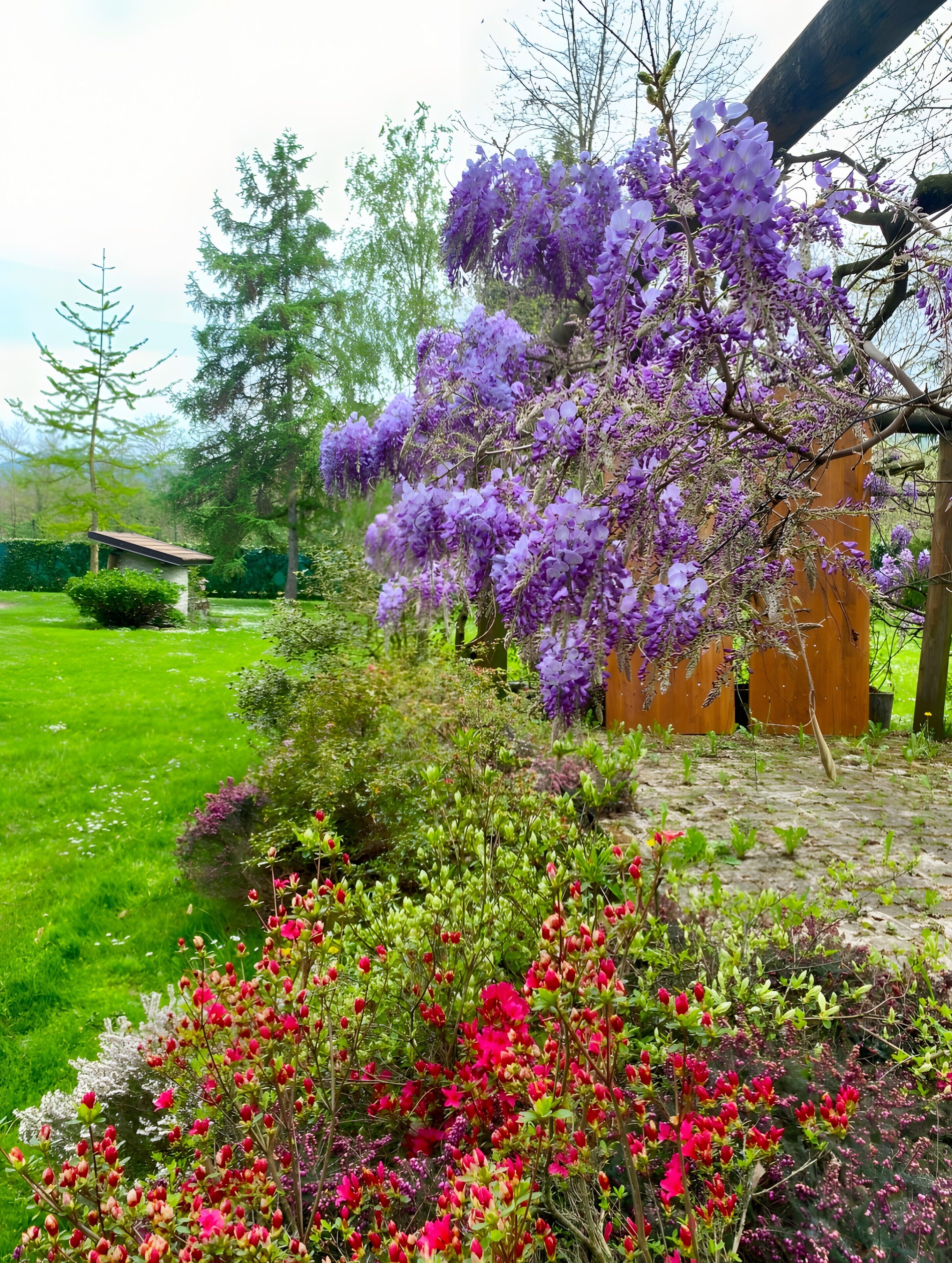 Parco della struttura