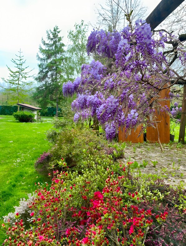 Overnattingsstedets uteområder