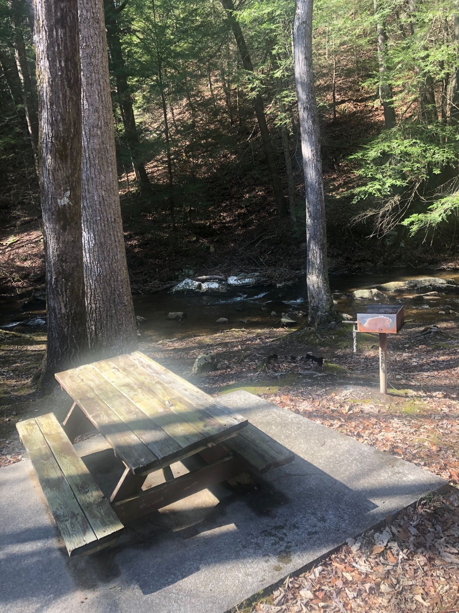 Une table de pique-nique située dans une zone boisée, près d’un petit ruisseau.