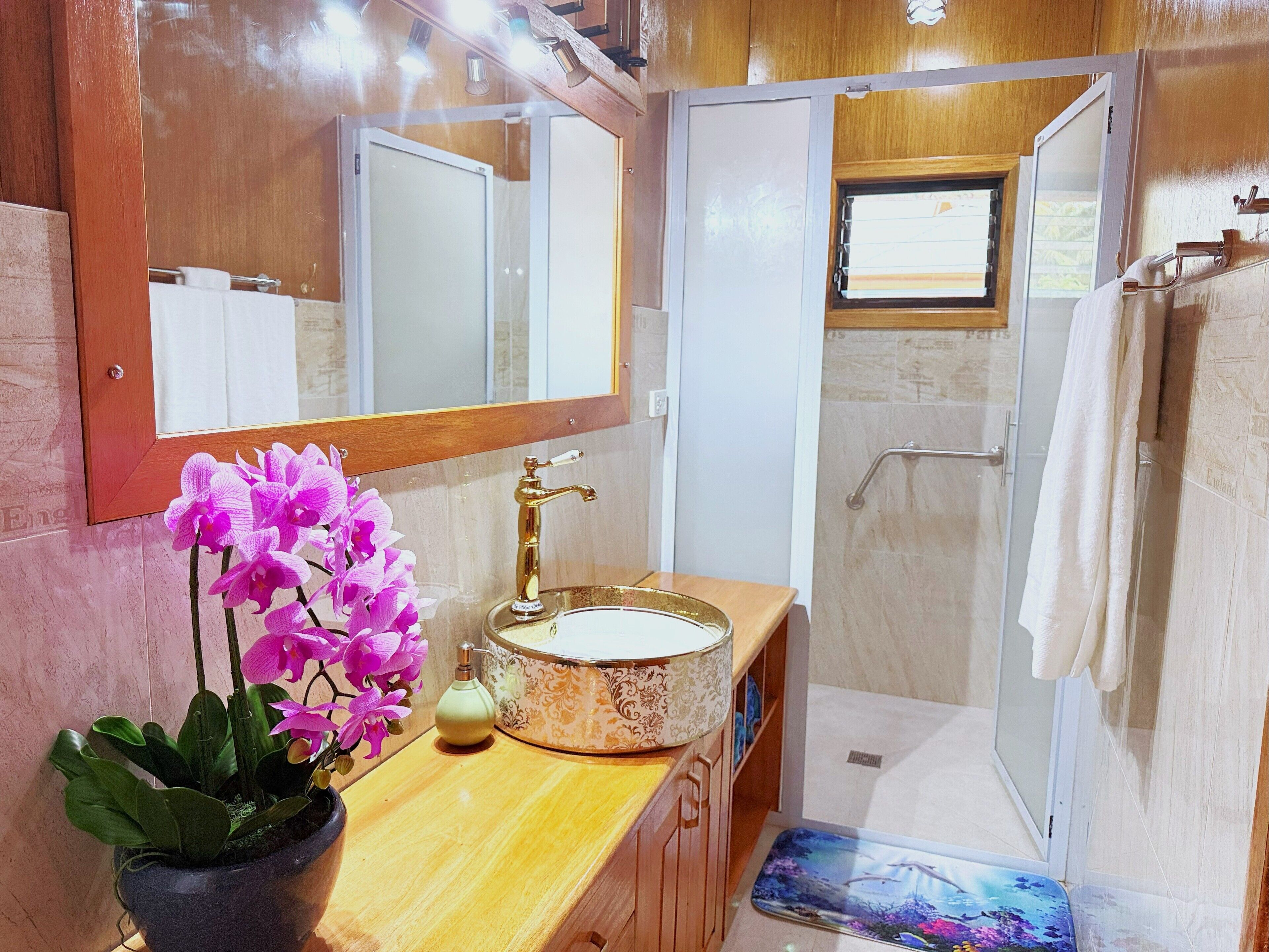 Hair dryer, towels, soap, shampoo