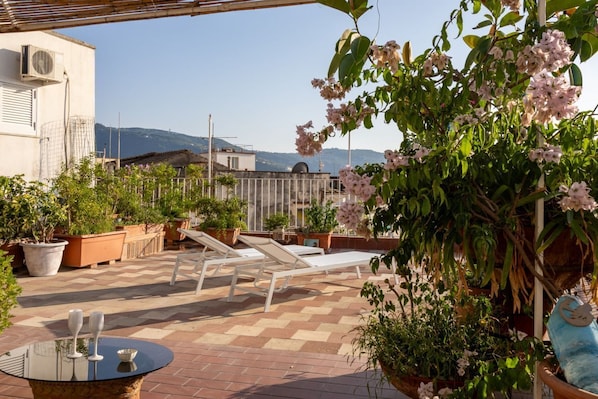 Terras