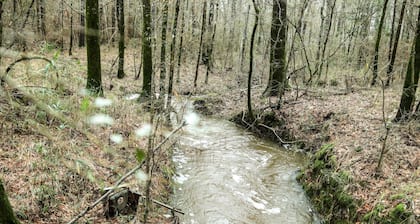 RV Slot Only with WiFi in charming Mittie. Near Kinder. Hunting and Fishing.