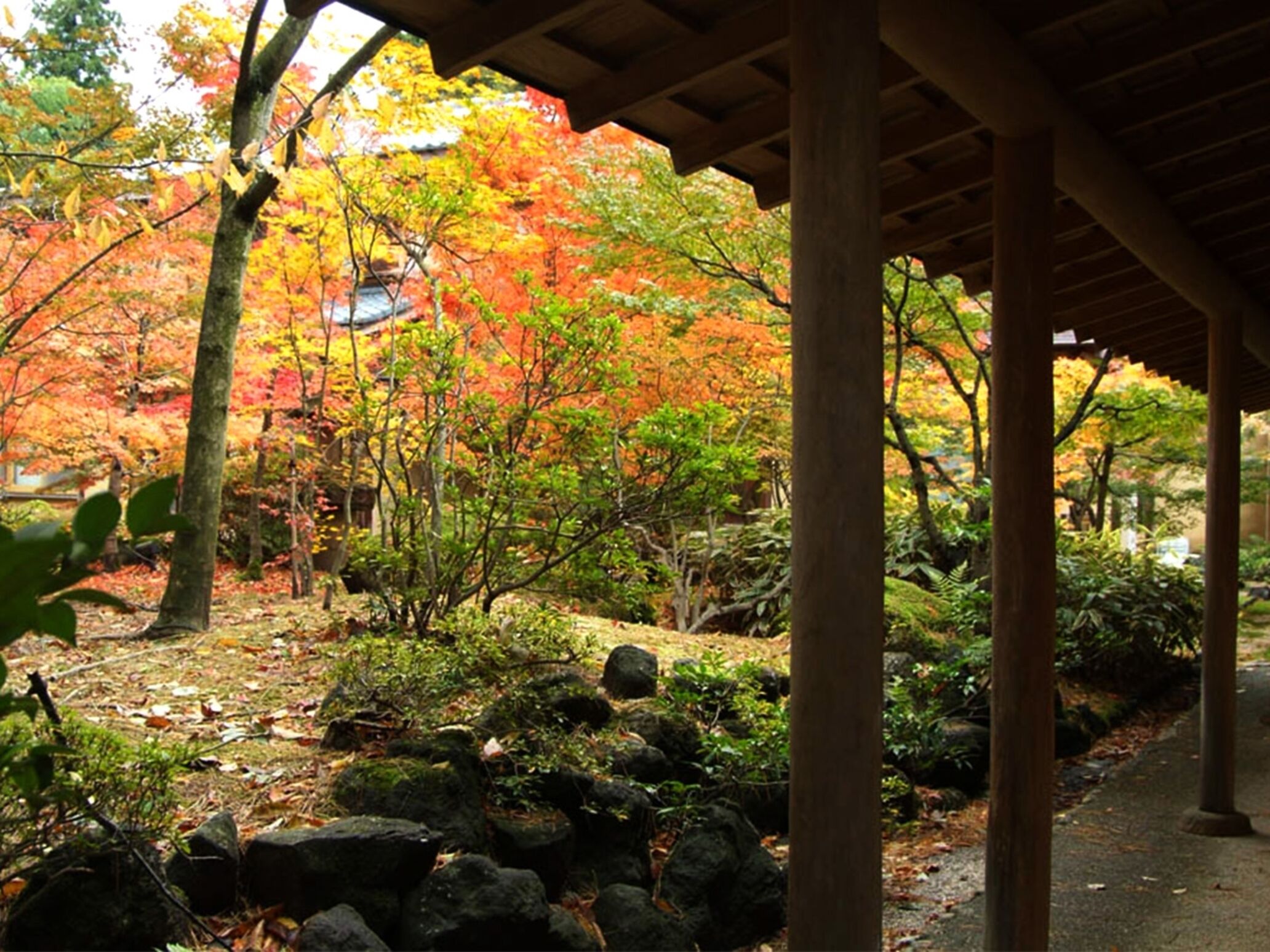 A covered walkway in a garden with autumn foliage, stone pathways, and wooden pillars.