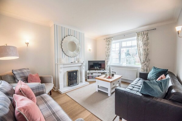 TV, fireplace, video games, DVD player