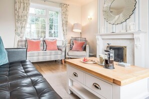 TV, fireplace, video games, DVD player