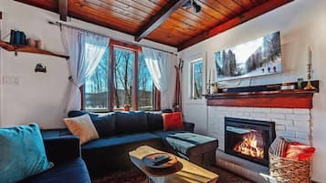 Smart TV, fireplace, books