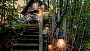 A wooden staircase leading to a house with a porch, surrounded by greenery.