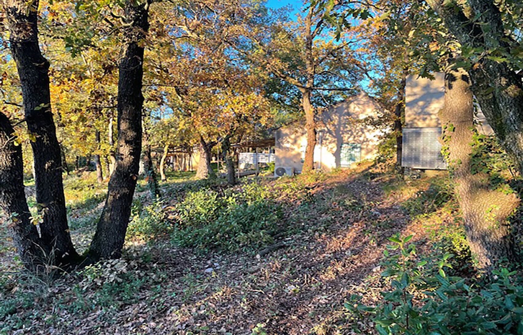 Terrein van de accommodatie