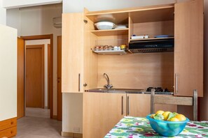 Fridge, stovetop, cookware/dishes/utensils