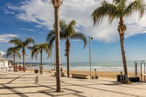 Eine Strandpromenade mit Palmen, Bänken und einem Rollroller.