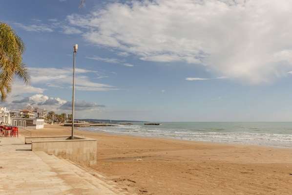 A beach with a paved walkway, palm trees, and a clear sky.