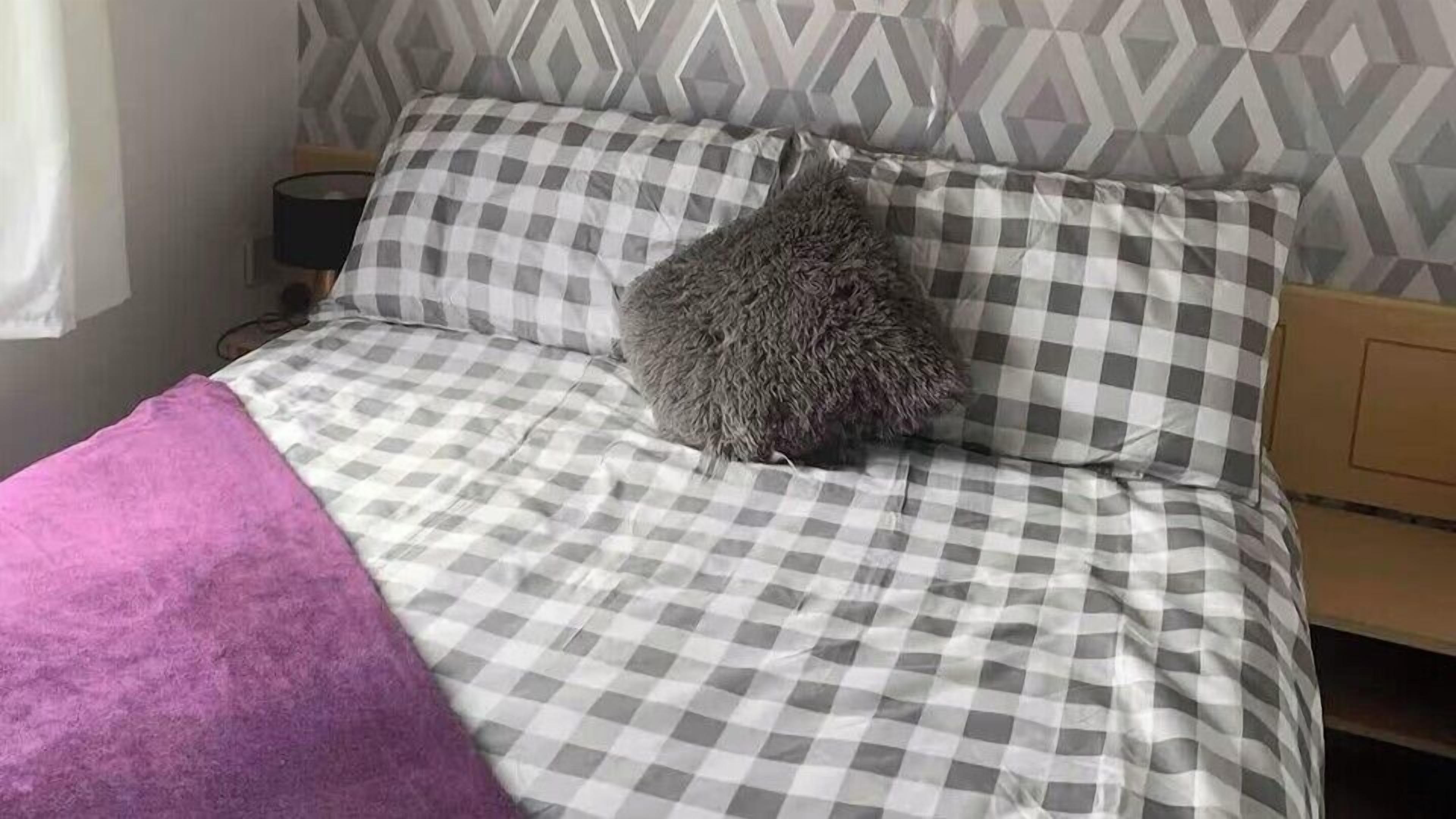 Una cama con una colcha a cuadros y un único almohadón mullido.