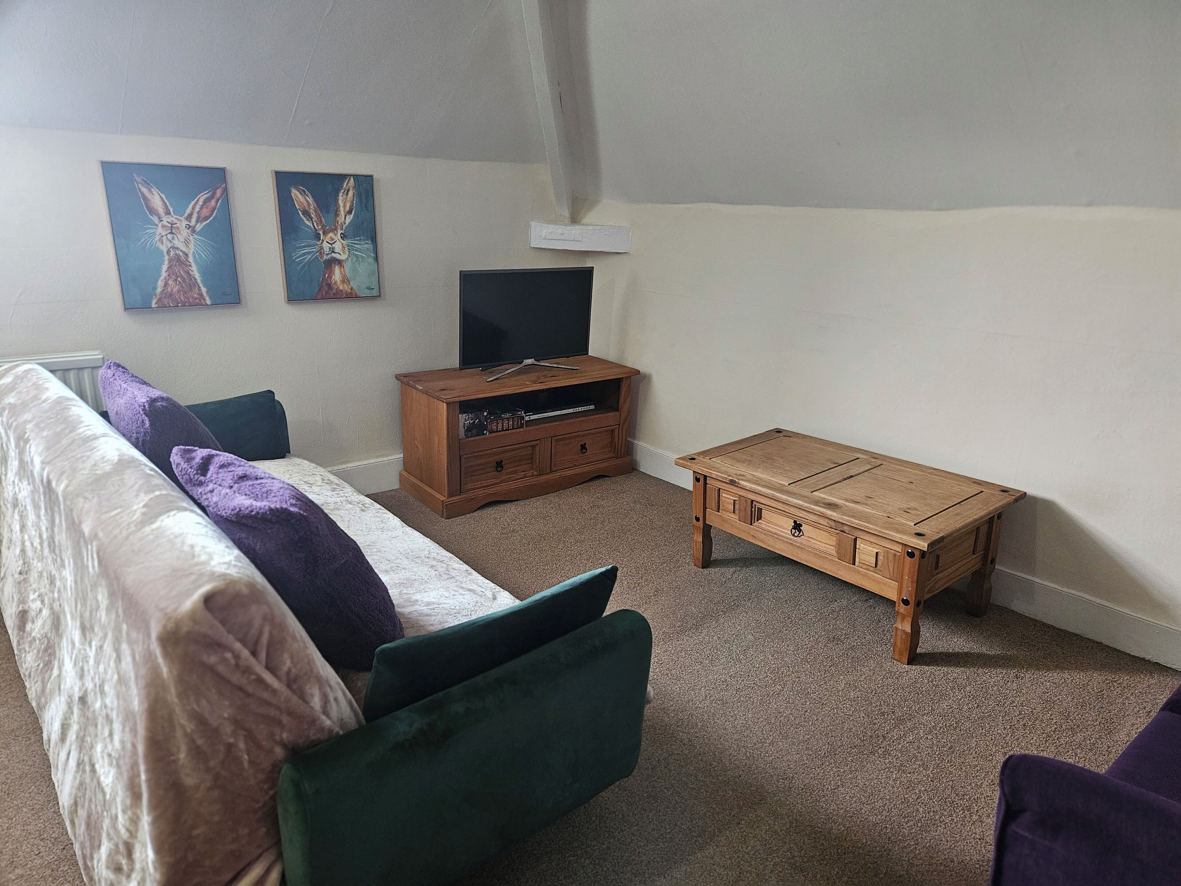 A room with a sofa, a wooden coffee table, a TV stand, and two wall-mounted paintings.