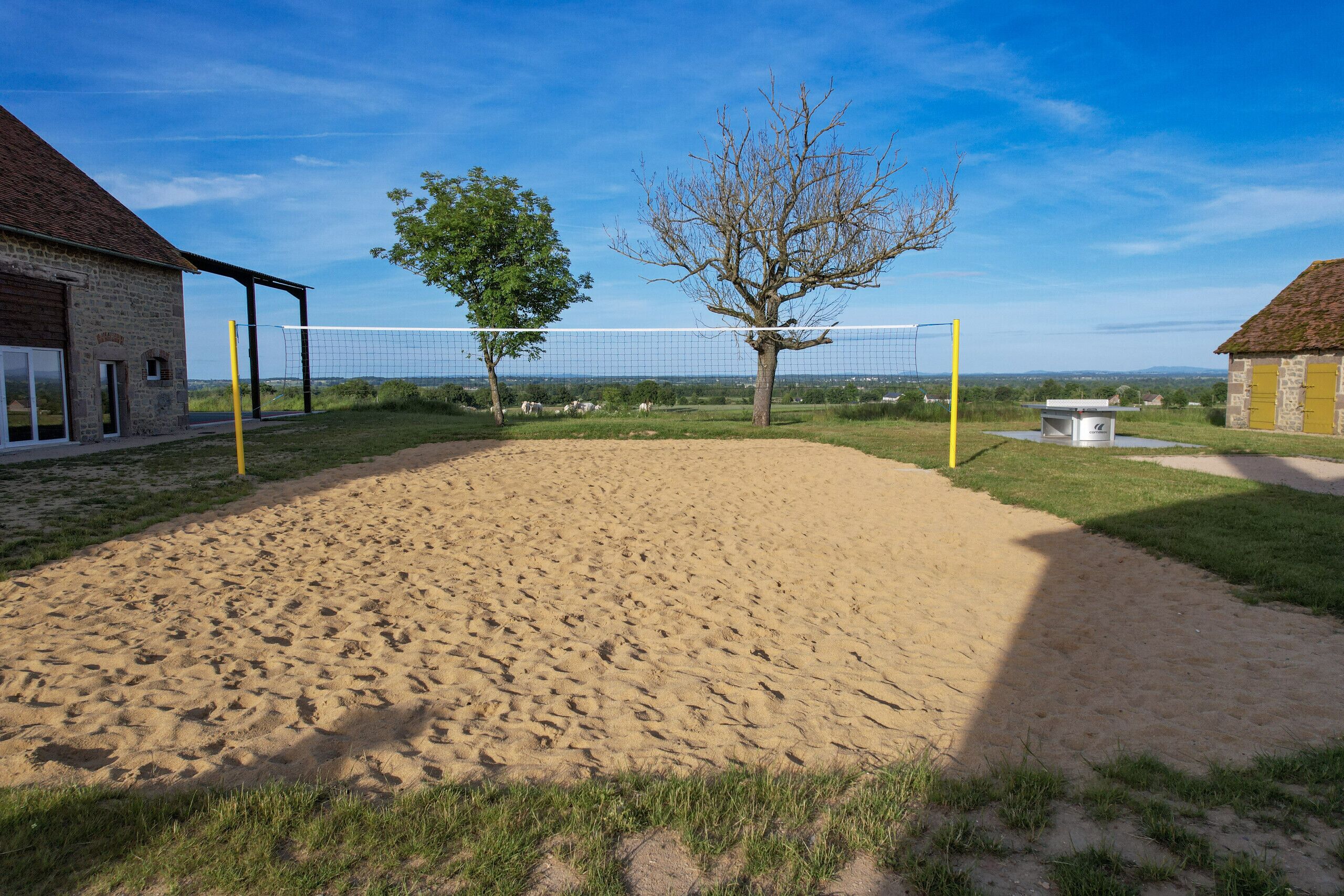 Ein Sandvolleyballfeld mit Netz, umgeben von Gras und Bäumen, mit Gebäuden im Hintergrund.