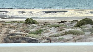 Une plage avec des dunes de sable et une végétation clairsemée.