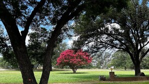 A park with large trees, a grassy field, and a brick structure with a lamp post. - Luxury Private Ranch DUPLEX Peaceful, beautiful, safe, clean - Paradise found!! (HAMILTON)