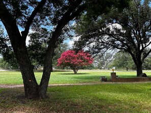Overnatningsstedets område